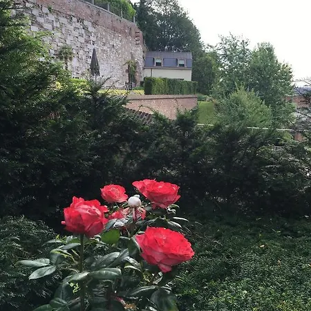 Les Residences Du Mont Saint Martin
